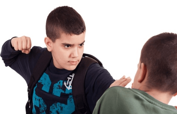 شناخت رفتارهای نابهنجار و پرخاشگرانه در دانش آموزان و ارائه برخی راهکارها درجهت اصلاح رفتار آنها